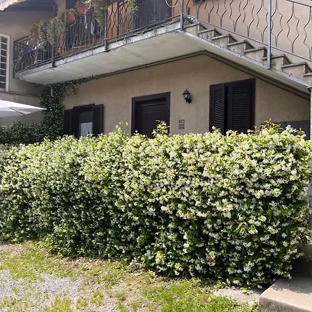 Il Cortile Single & Double In No