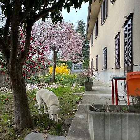 Bed & Breakfast Il Cortile Single & Double In No