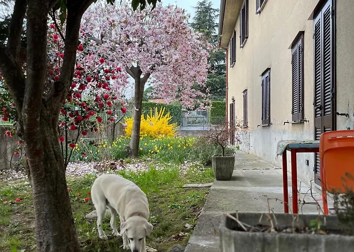 Bed and Breakfast Il Cortile Single & Double In No